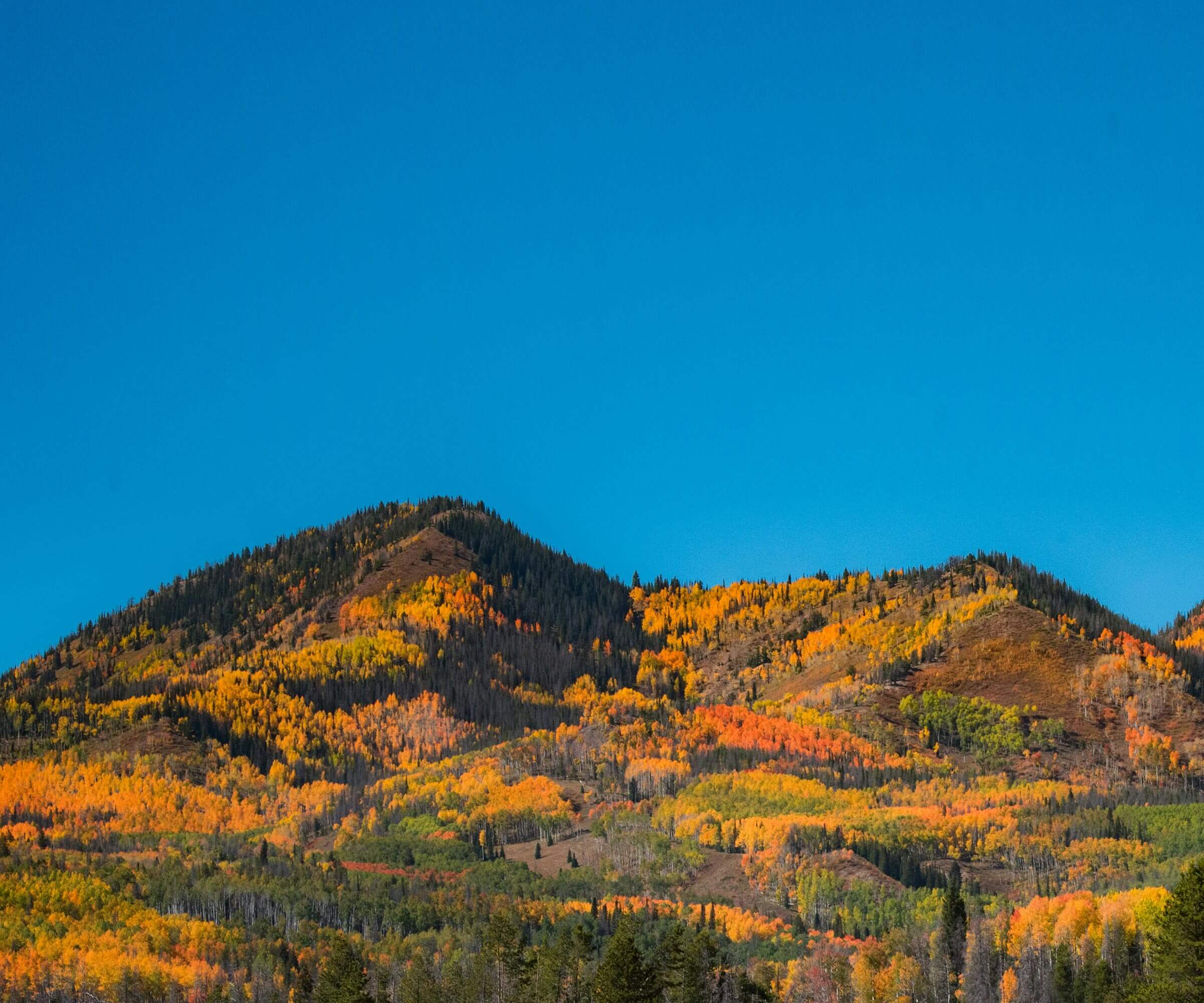 Near References Hero Image Near References Hero Image