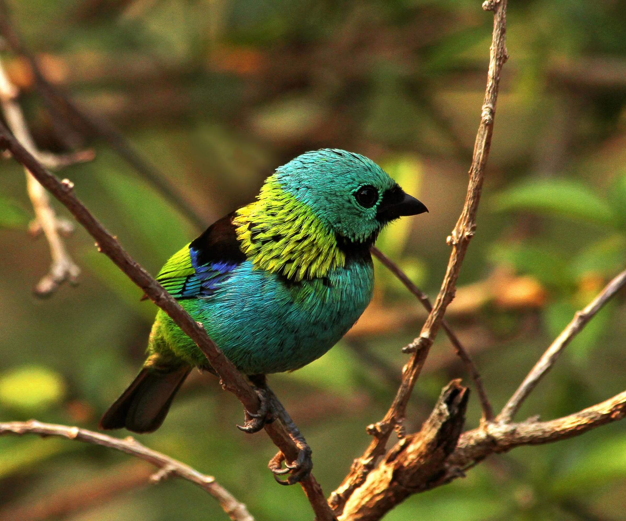 Nest Services Page Hero Nest Services Page Hero